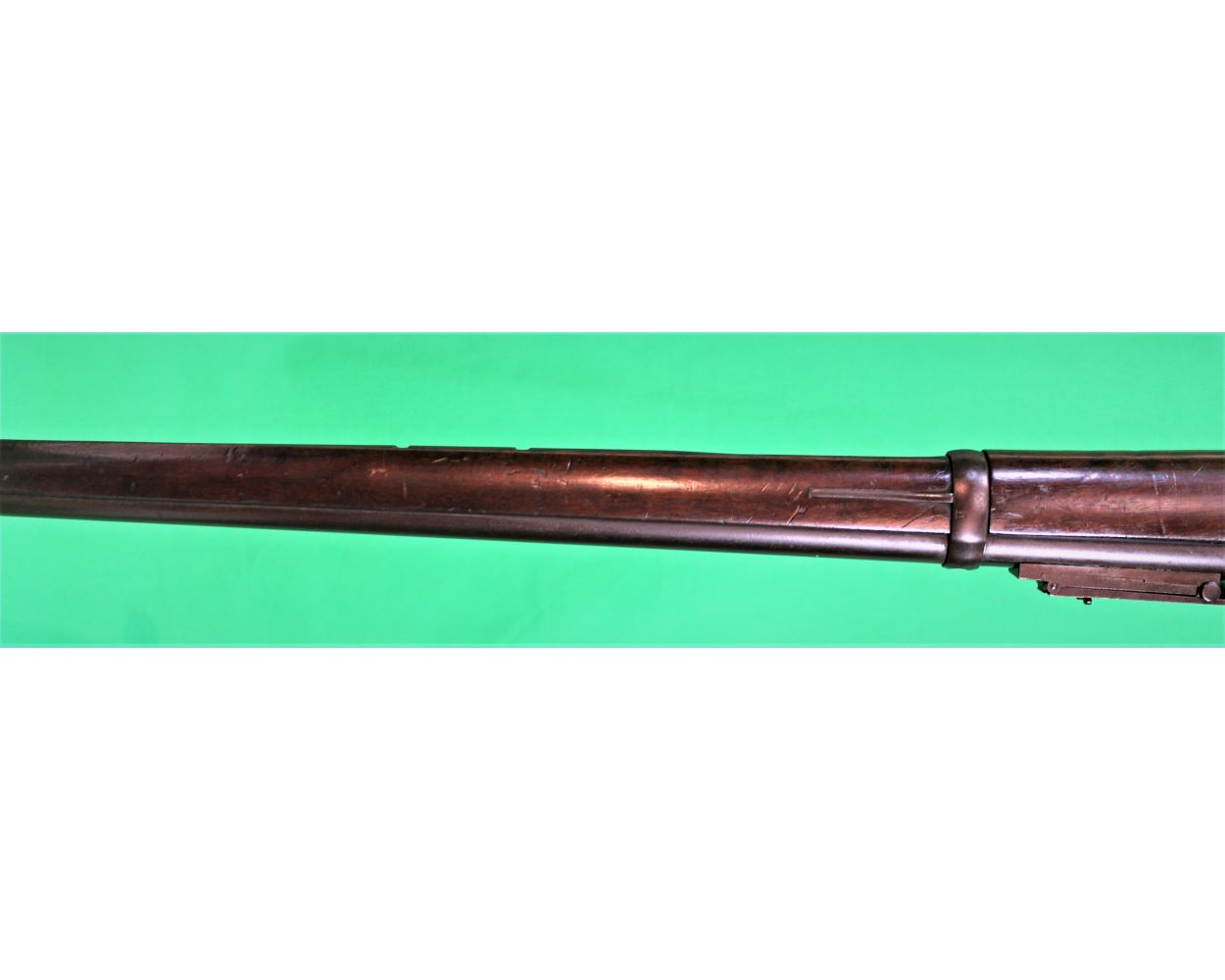 GUN5321XX_ALT7_8450.JPG